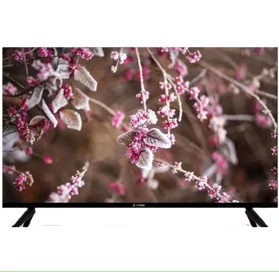 ال ای دی 55 اینچ اسنوا|تلویزیون و پروژکتور|دهدشت, |دیوار