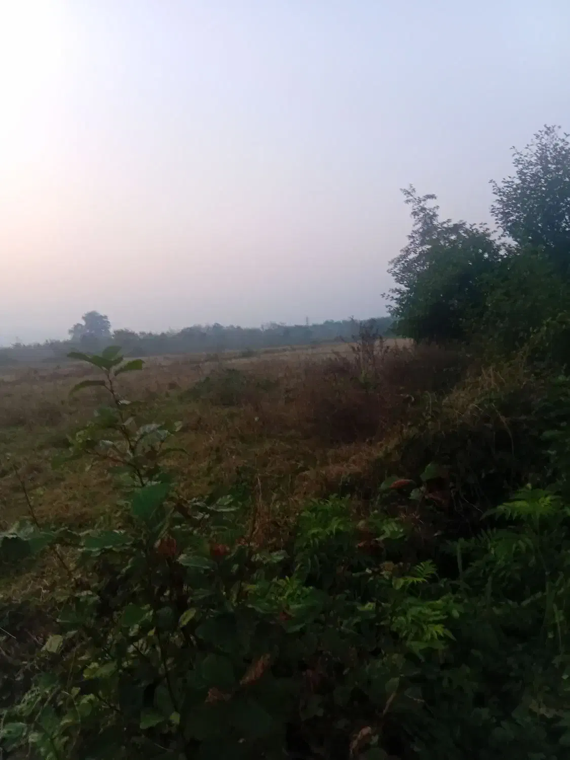 ۶۰۰ متر زمین شهری متری ۵ تومن سرمایه گذاری|فروش زمین و ملک کلنگی|رضوانشهر, |دیوار