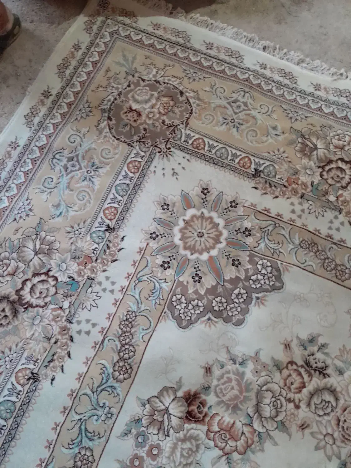 یک عدد فرش ۱۲ متری ۷۰۰شانه|فرش|بندر ترکمن, |دیوار