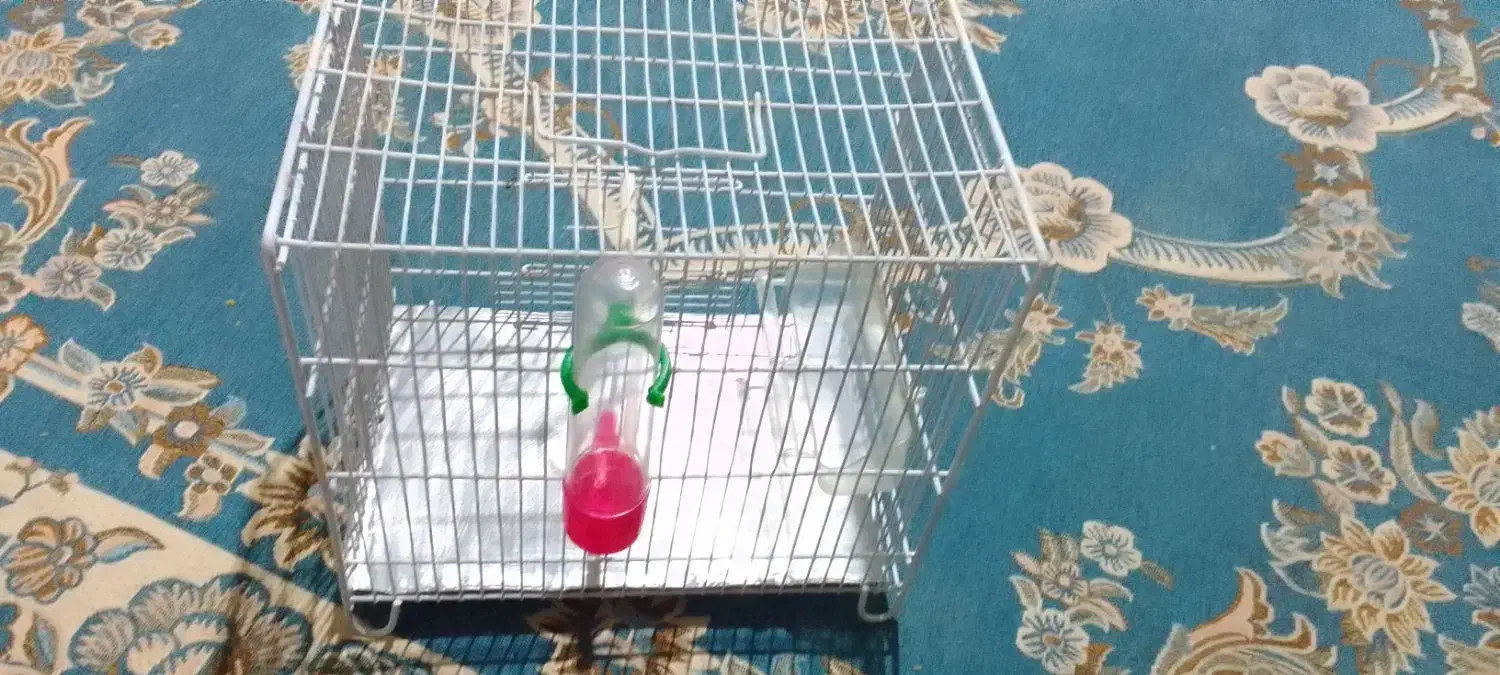 قفس غلامی|لوازم جانبی حیوانات|کوهدشت, |دیوار