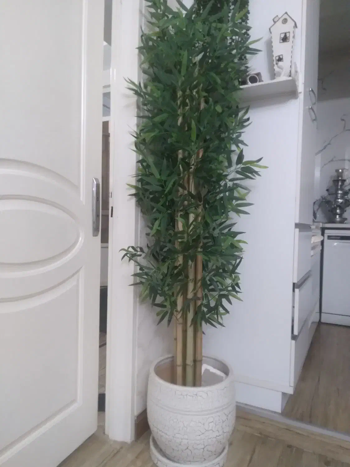 درختچه مصنوعی بامبو|گل مصنوعی|قدس, شهرقدس|دیوار