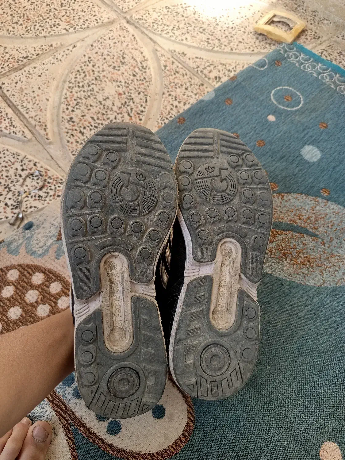 کتونی zx|کیف، کفش، کمربند|باغستان, |دیوار