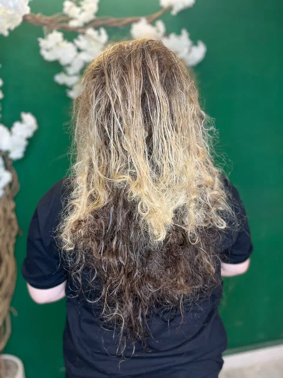 پروتئین تراپی و آبرسانی فقط 980|خدمات آرایشگری و زیبایی|مشهد, اقبال|دیوار