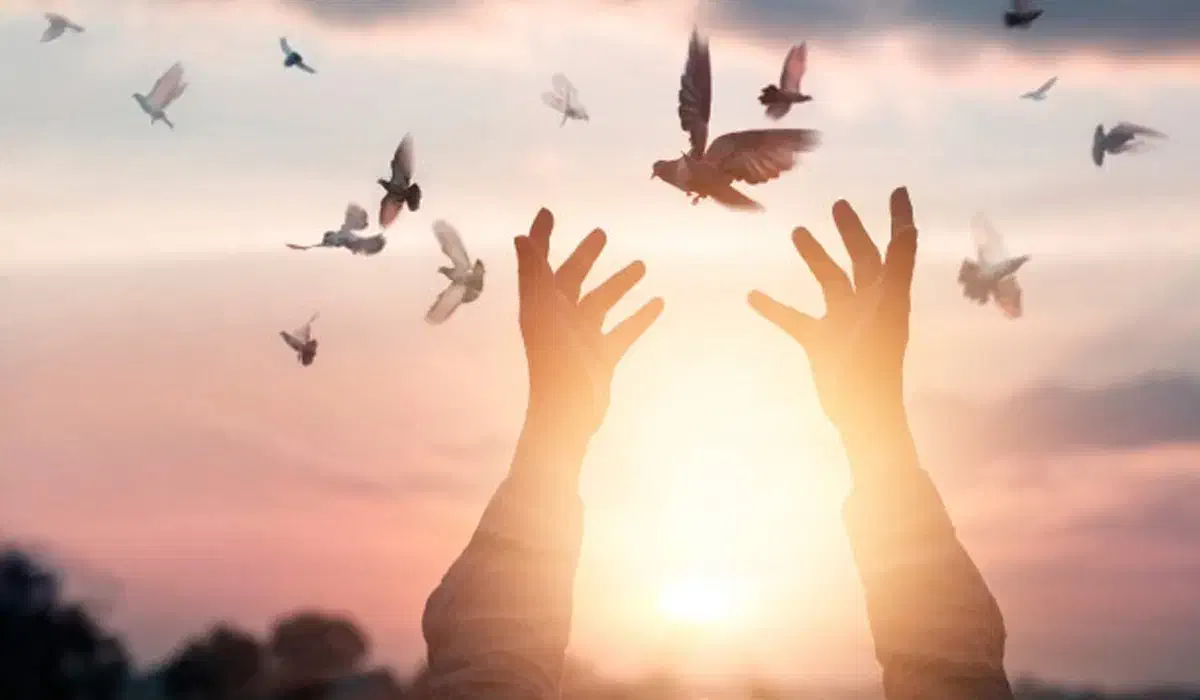 بررسی حل مشکلاتتان با دعاهای رحمانی|فعالیت داوطلبانه|مشهد, هفت تیر (حافظ)|دیوار