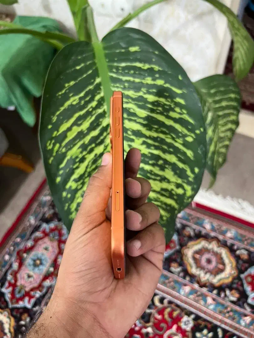 ایفون 17پرومکس مشابه خشک|موبایل|آزادشهر, |دیوار