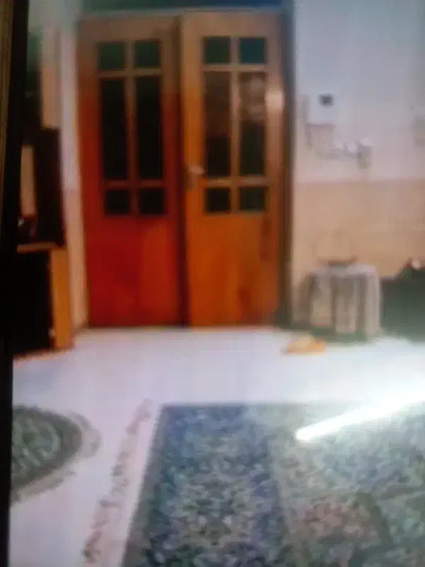 یک خانم مجرد جوان جهت نظافت وامورات منزل|استخدام سرایداری و نظافت|شیراز, شریف‌آباد|دیوار