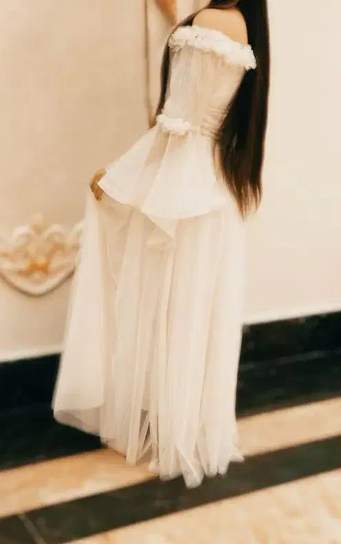 لباس مجلسی|لباس|خسروشاه, |دیوار