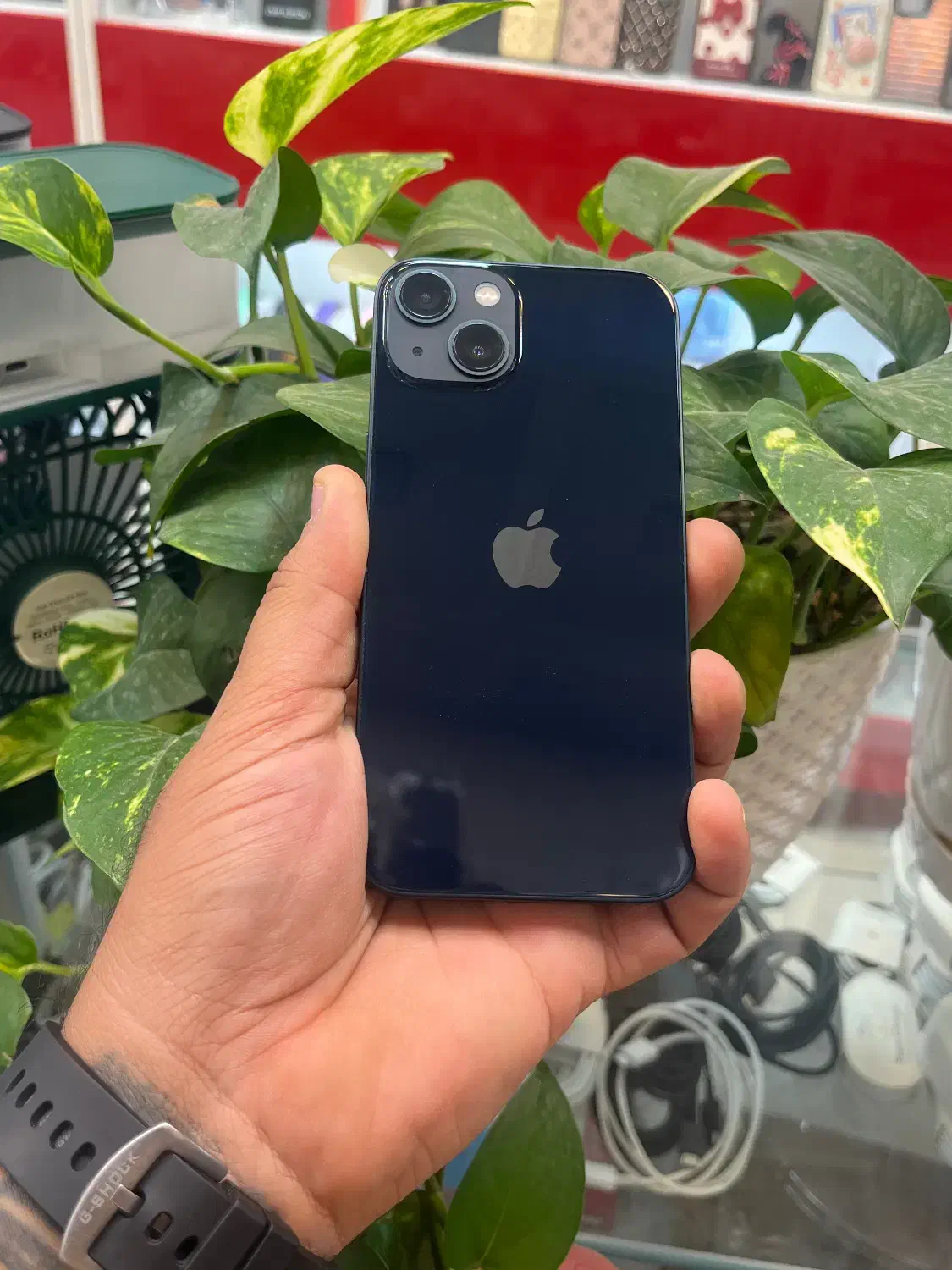 Iphone 13 cha 128G|موبایل|شیراز, زند|دیوار