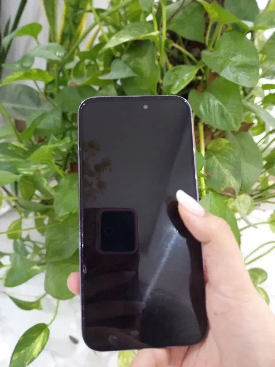 آیفون ۱۴|موبایل|اهواز, ۲۴ متری|دیوار