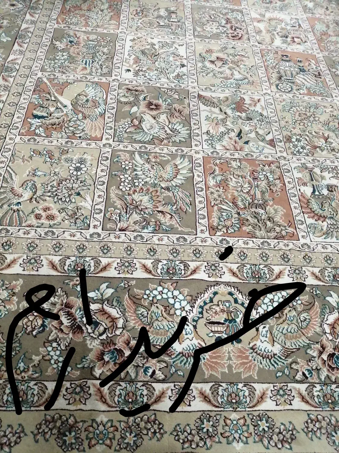 فرش 12متری|فرش|بیرجند, |دیوار