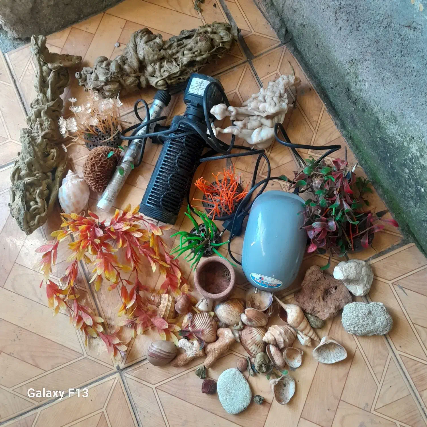 لوازم اکواریوم|ماهی|لنگرود, |دیوار