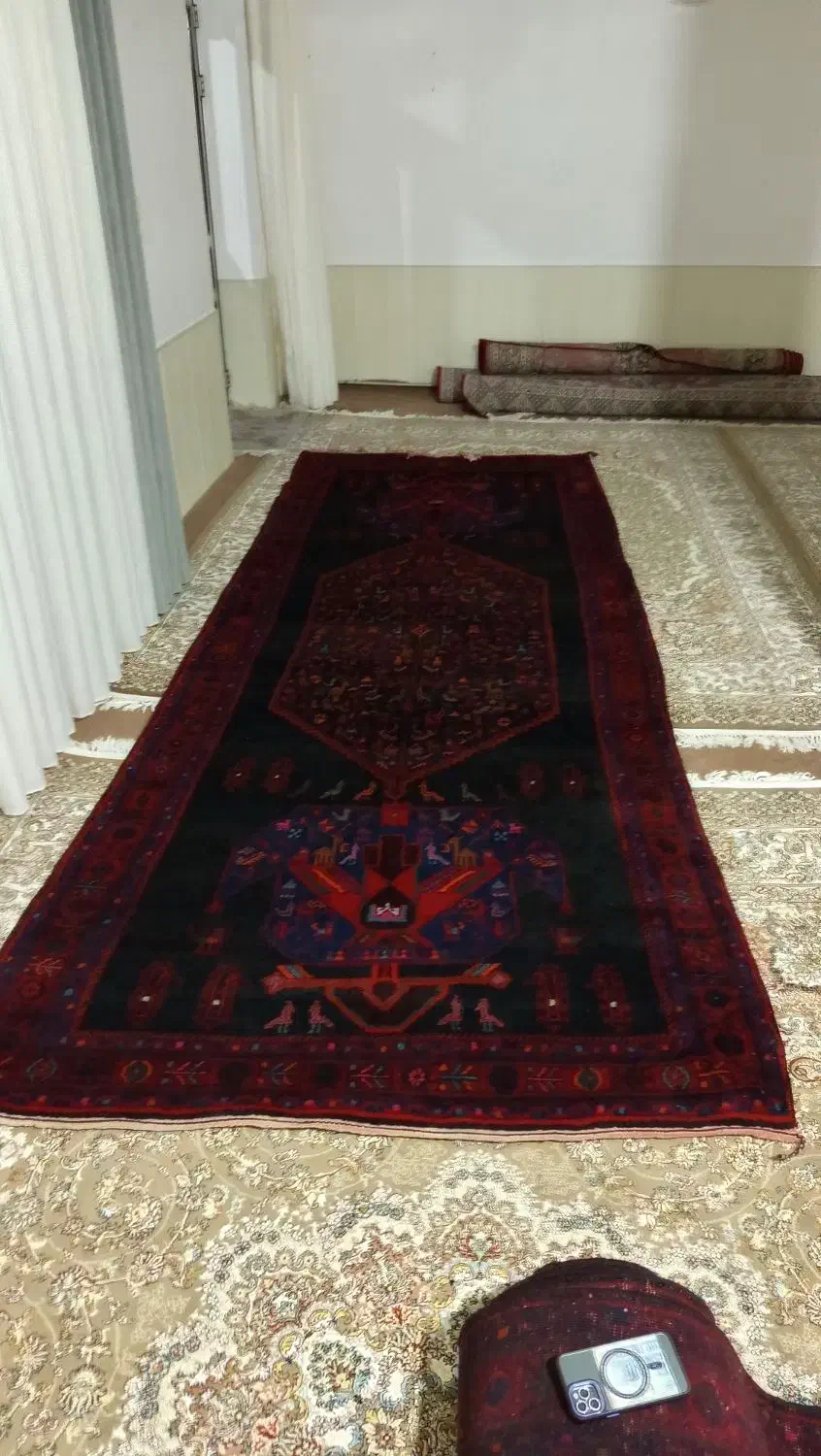 فرش دستباف|فرش|میاندوآب, |دیوار