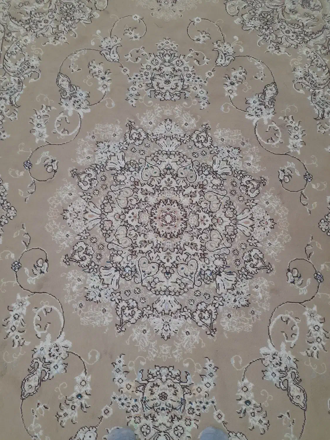 فرش ۶ متری نگین مشهد|فرش|بابل, |دیوار