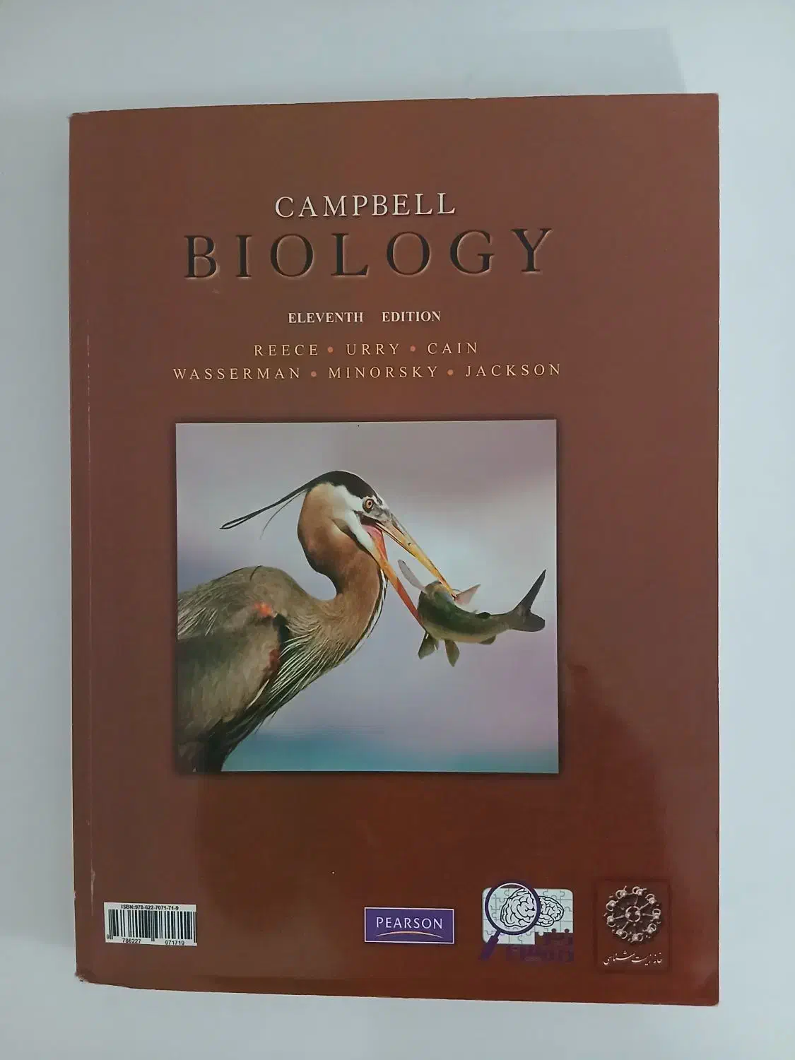 کتاب مرجع بیولوژی کمپبل|کتاب و مجله آموزشی|آمل, |دیوار