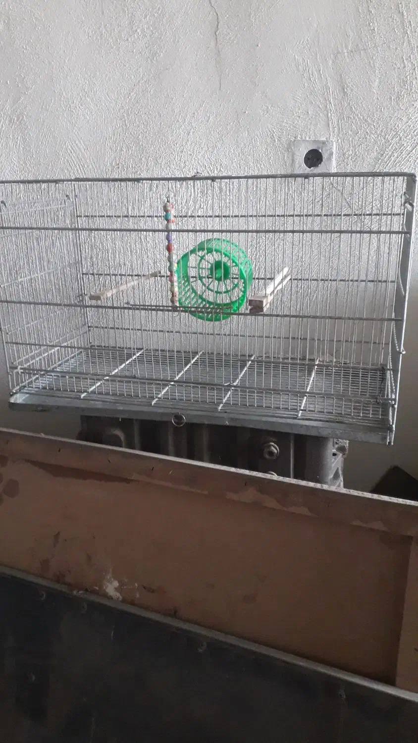 قفس سهره، قناری ، پژاوند ، جوجه پران|لوازم جانبی حیوانات|رباط‌کریم, رباط‌کریم|دیوار