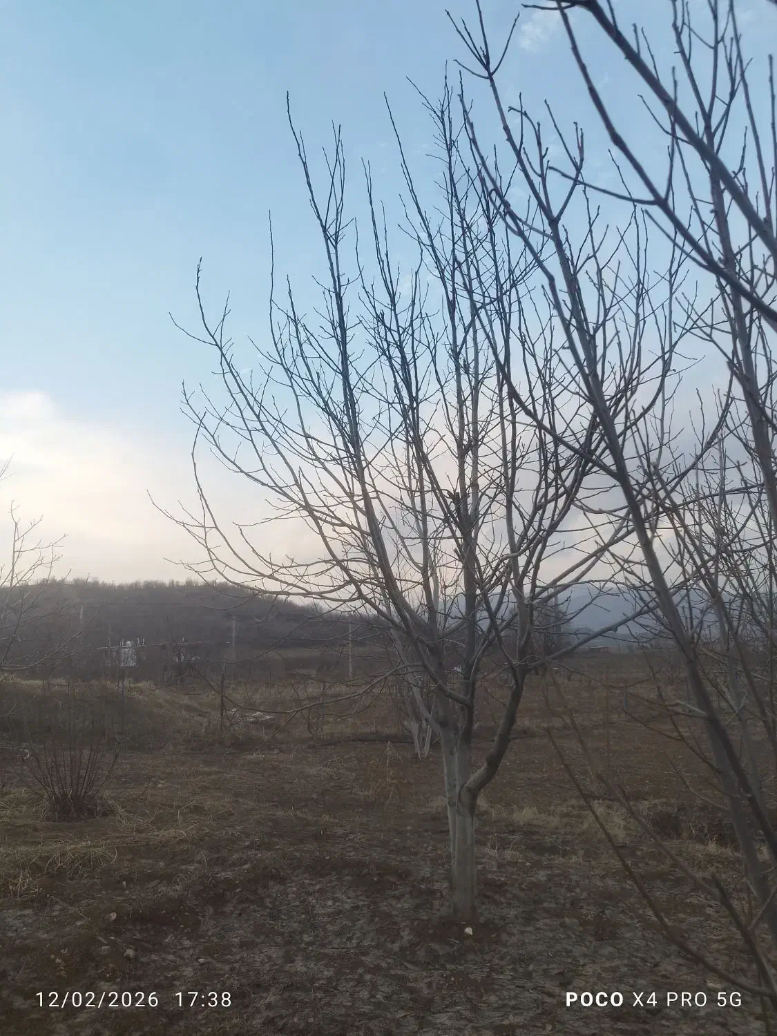 باغ|فروش زمین و ملک کلنگی|خاو و میرآباد, |دیوار