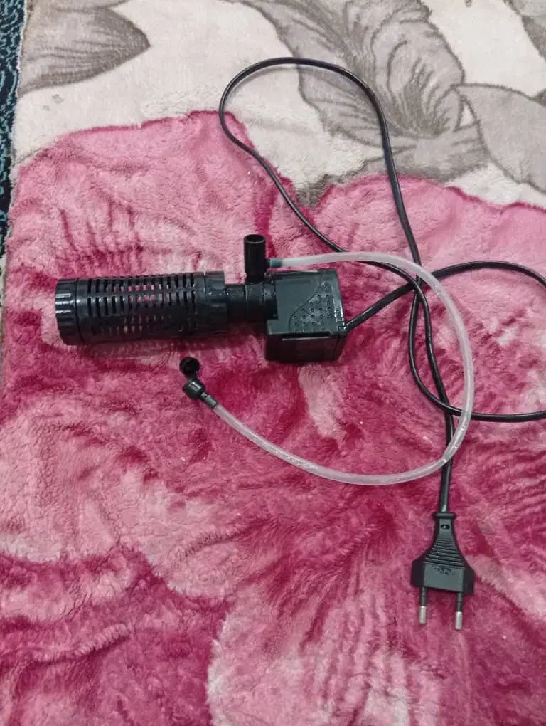 اکواریم ماهی|ماهی|بم, |دیوار