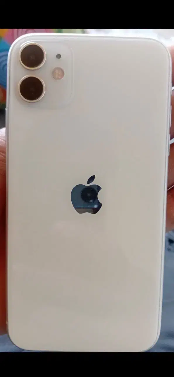 ایفون ۱۱ نرمال|موبایل|اقبالیه, |دیوار