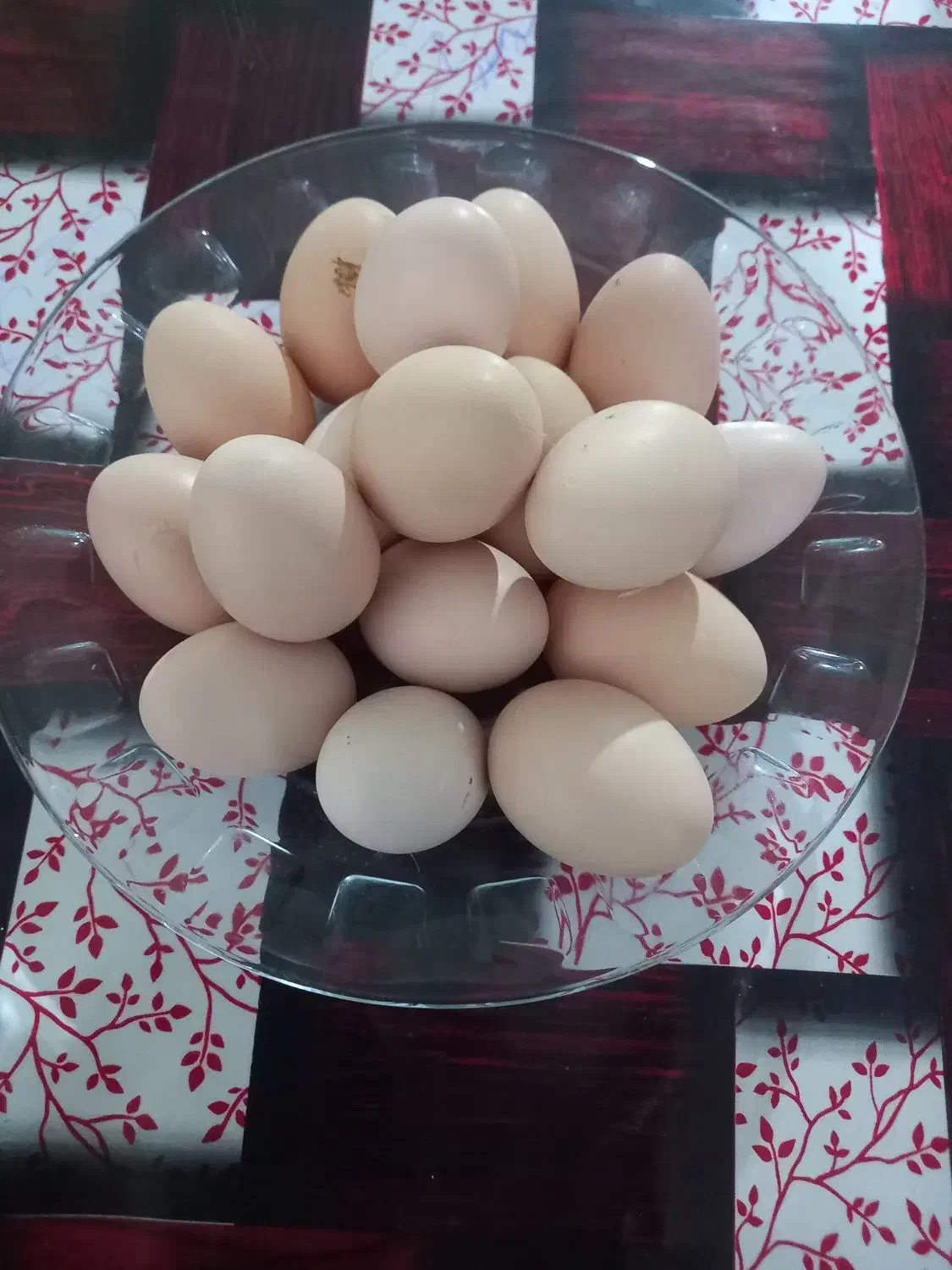 تخم لاری|حیوانات مزرعه|نجف‌آباد, یزدانشهر|دیوار