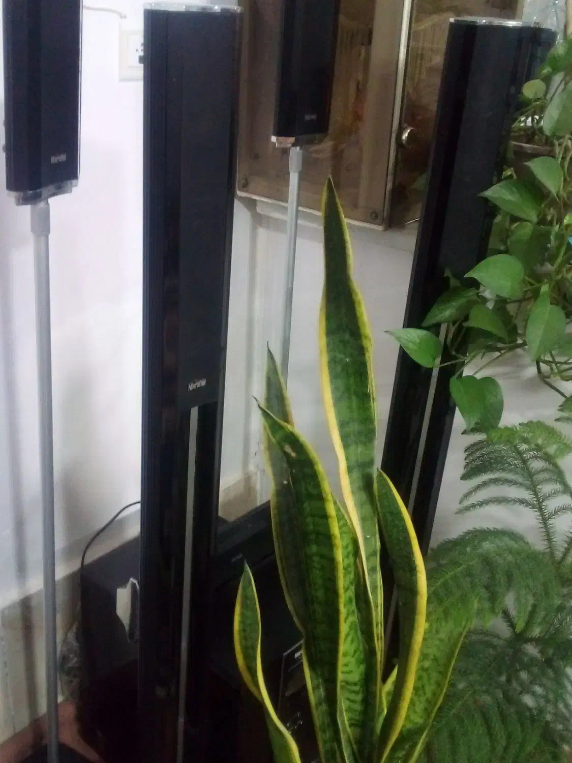 سینما خانگی|سیستم صوتی خانگی|اراک, |دیوار