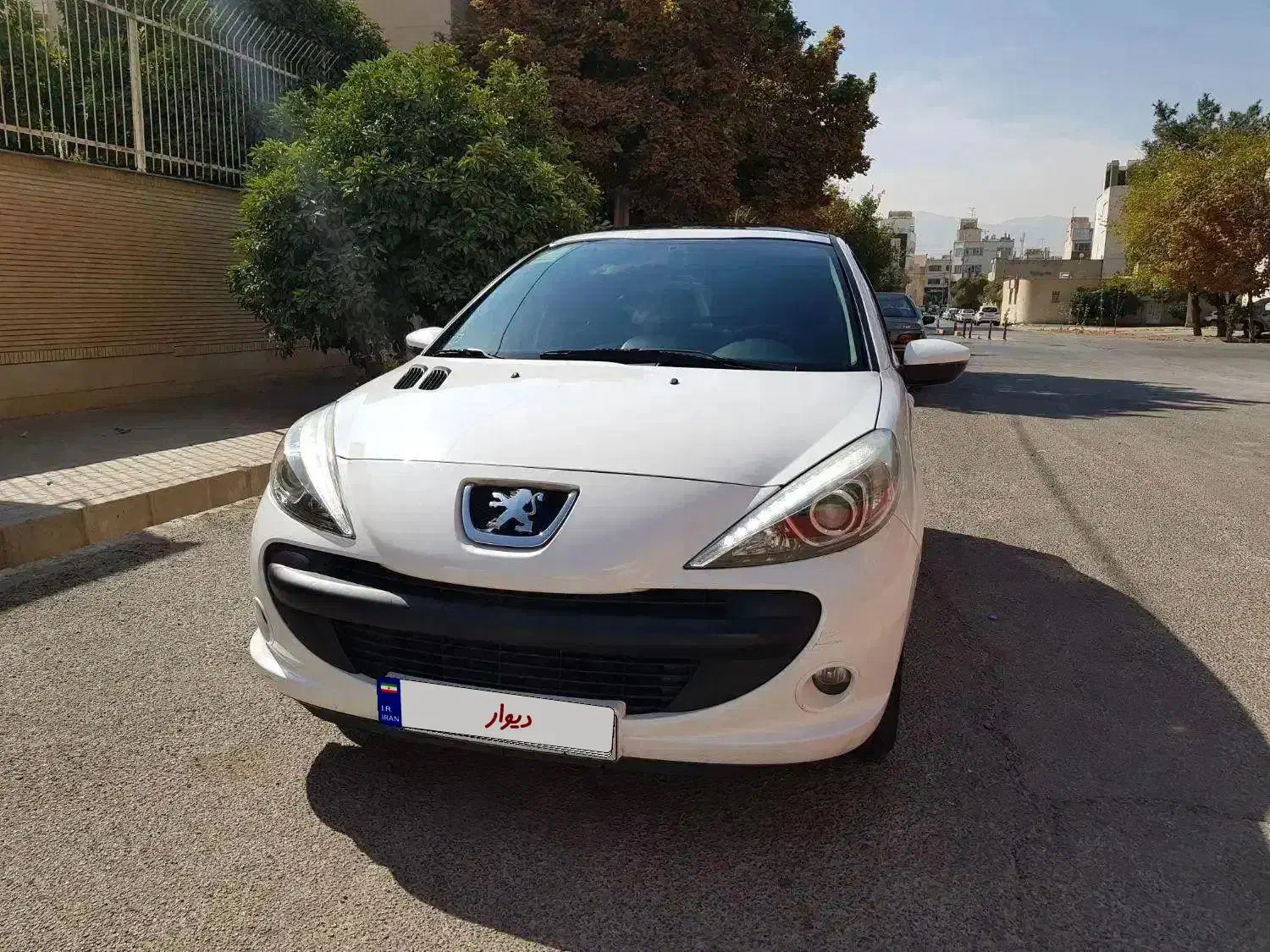 207 پانوراما|خودرو سواری و وانت|شیراز, زرگری|دیوار