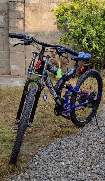 دوچرخه|دوچرخه، اسکیت، اسکوتر|پیربازار, |دیوار