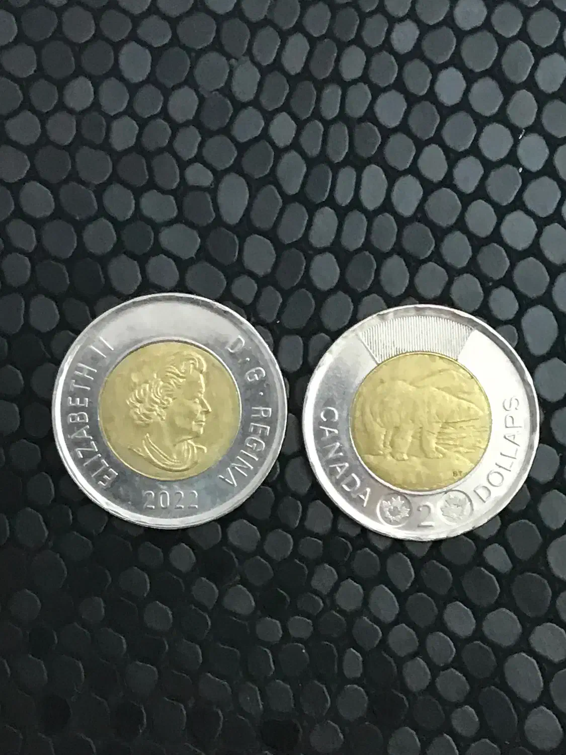 سکه ۲دلاری کانادا|کلکسیون سکه، تمبر، اسکناس|تهران, سیمای ایران|دیوار