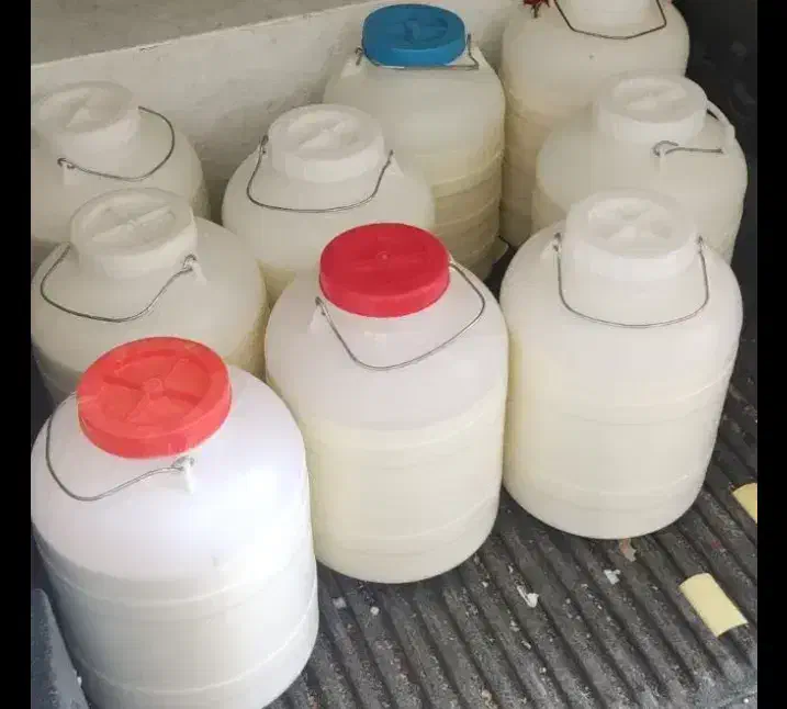 ماست دبه ای برای رستورانها و شیرینی پزیها|خوردنی و آشامیدنی|شیراز, شهرک قمشه|دیوار