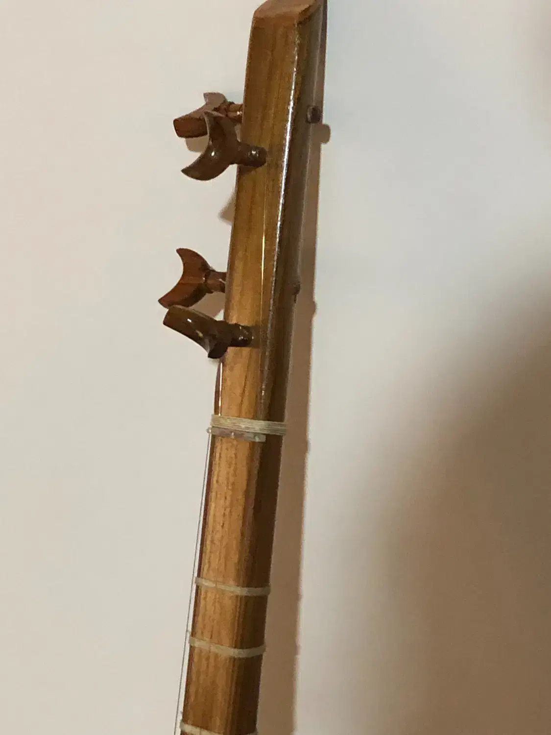 سه تار نو مولانا همراه با جعبه|سازهای سنتی|تهران, ابوذر|دیوار