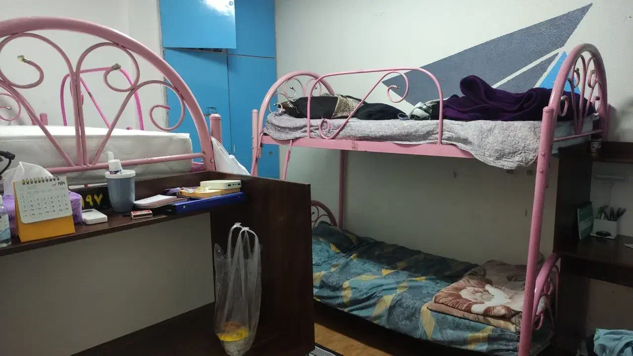 خوابگاه|اجارهٔ آپارتمان|رشت, استادسرا|دیوار