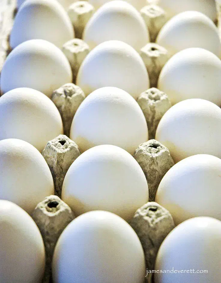 تخم مرغ|خوردنی و آشامیدنی|تهران, شهرآرا|دیوار