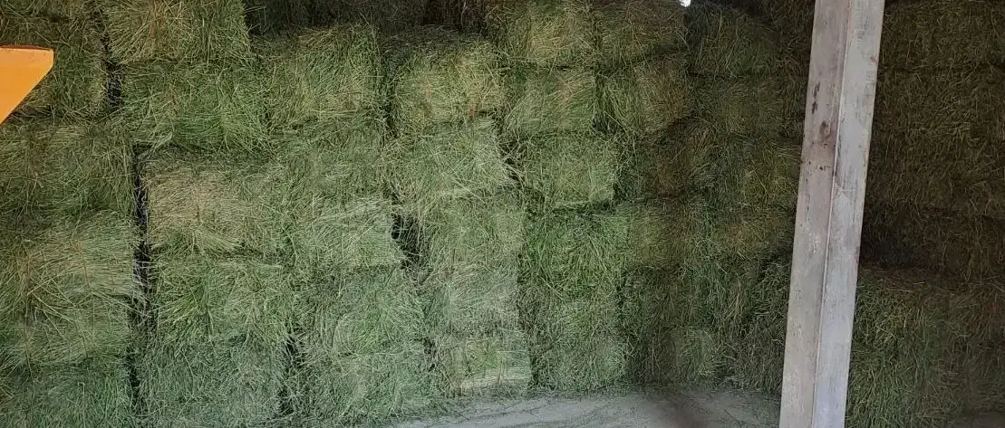 عمده و تکی|خوردنی و آشامیدنی|حمیل, |دیوار