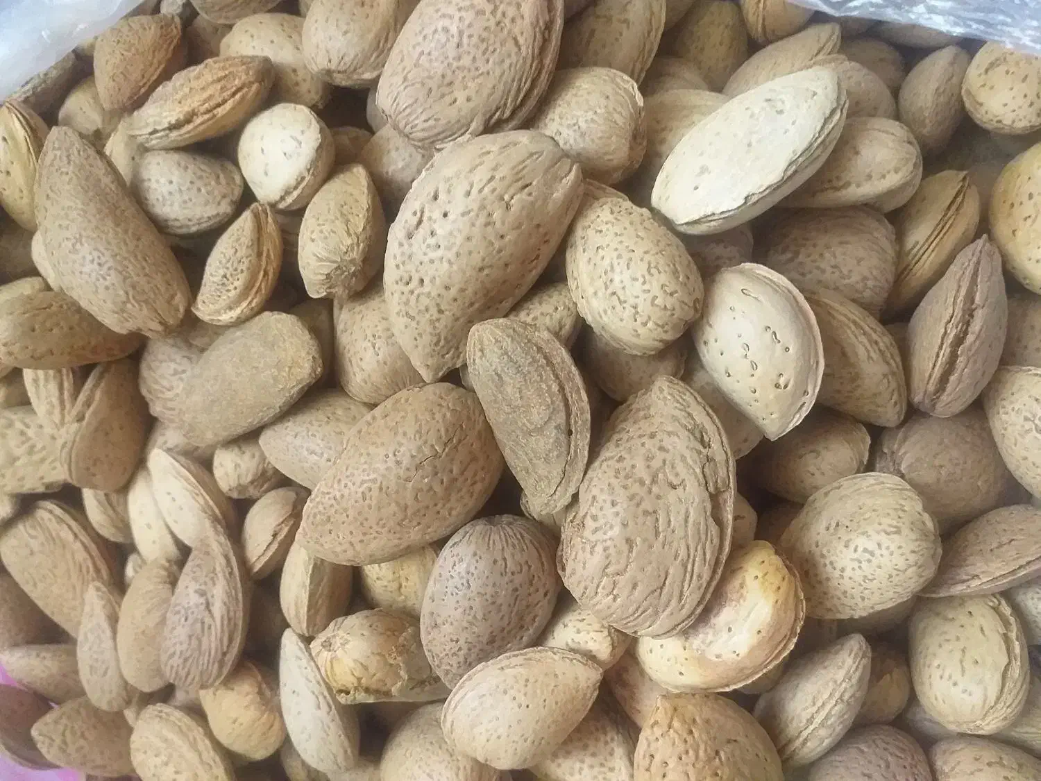 فروش بادام دیم|خوردنی و آشامیدنی|تهران, والفجر (افسریه)|دیوار