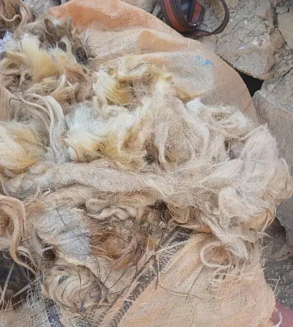 پشم|رختخواب، بالش، پتو|مسجد سلیمان, |دیوار