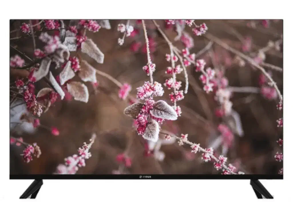 تلویزیون های اسنوا و دوو|تلویزیون و پروژکتور|لاهیجان, خمیر کلایه|دیوار