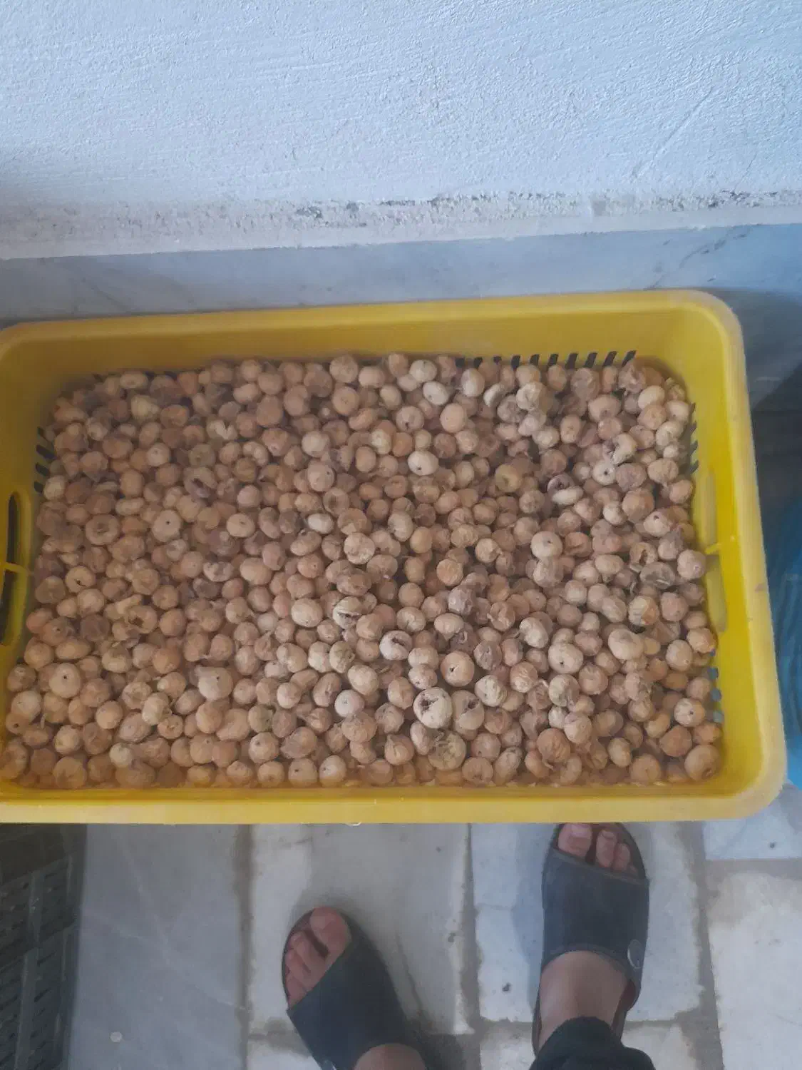 فروش انجیر|خوردنی و آشامیدنی|نی‌ریز, |دیوار