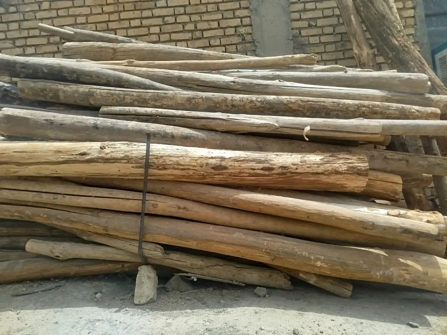 خریدار انواع چوب بید صنوبر باغی و تیرسقفی نقدی|خدمات باغبانی و درختکاری|الیگودرز, |دیوار