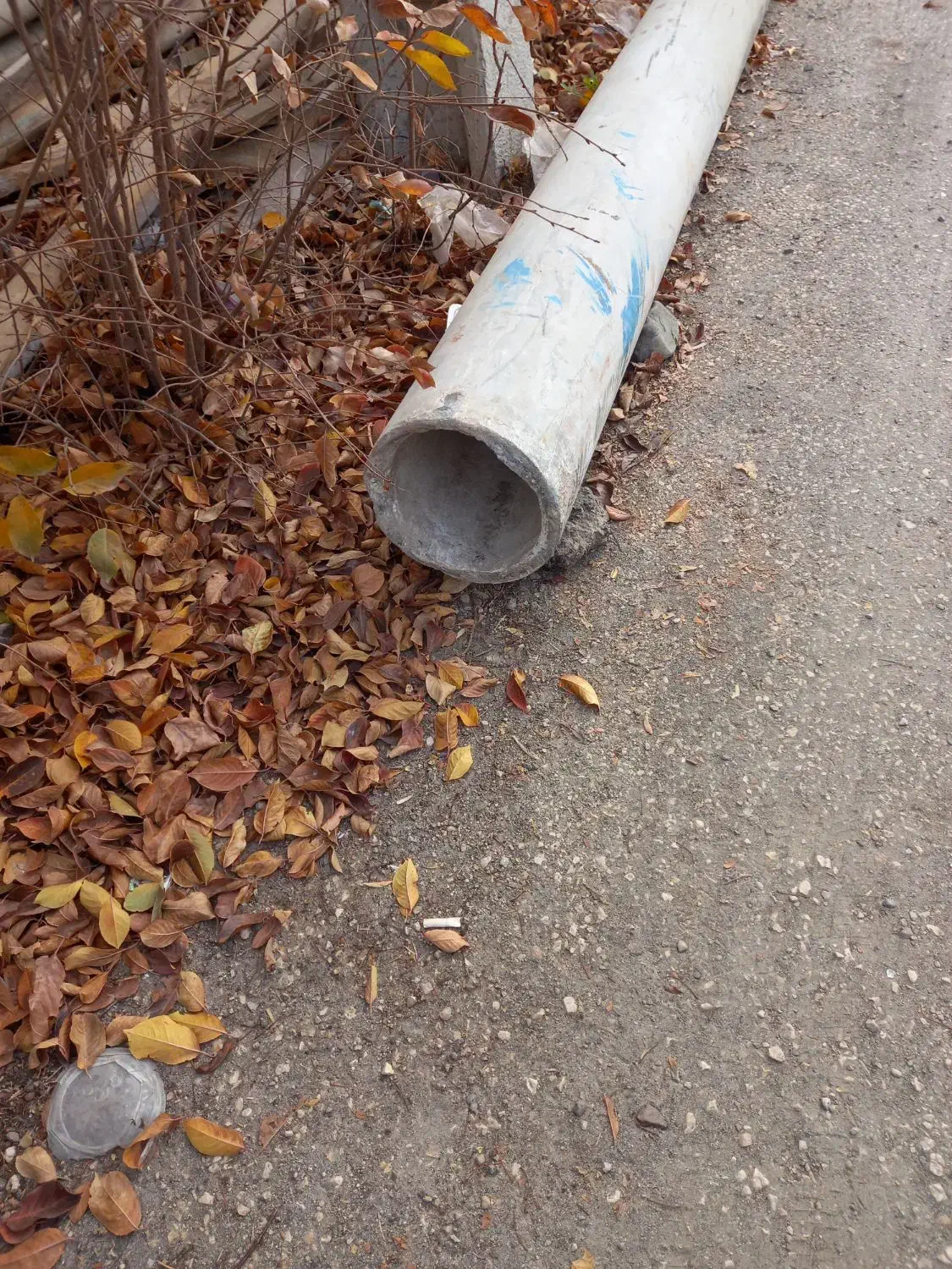 لوله سیمانی محکم و فشار قوی|مصالح و تجهیزات ساختمان|خلخال, |دیوار