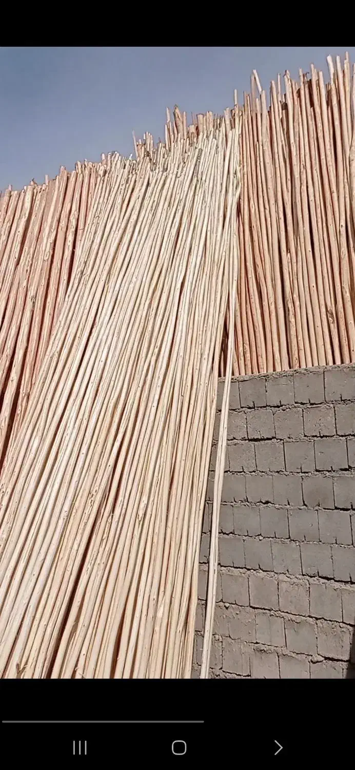 چوب داربند انگور وداربست وچوبفروشی|عمده‌فروشی|یزد, |دیوار