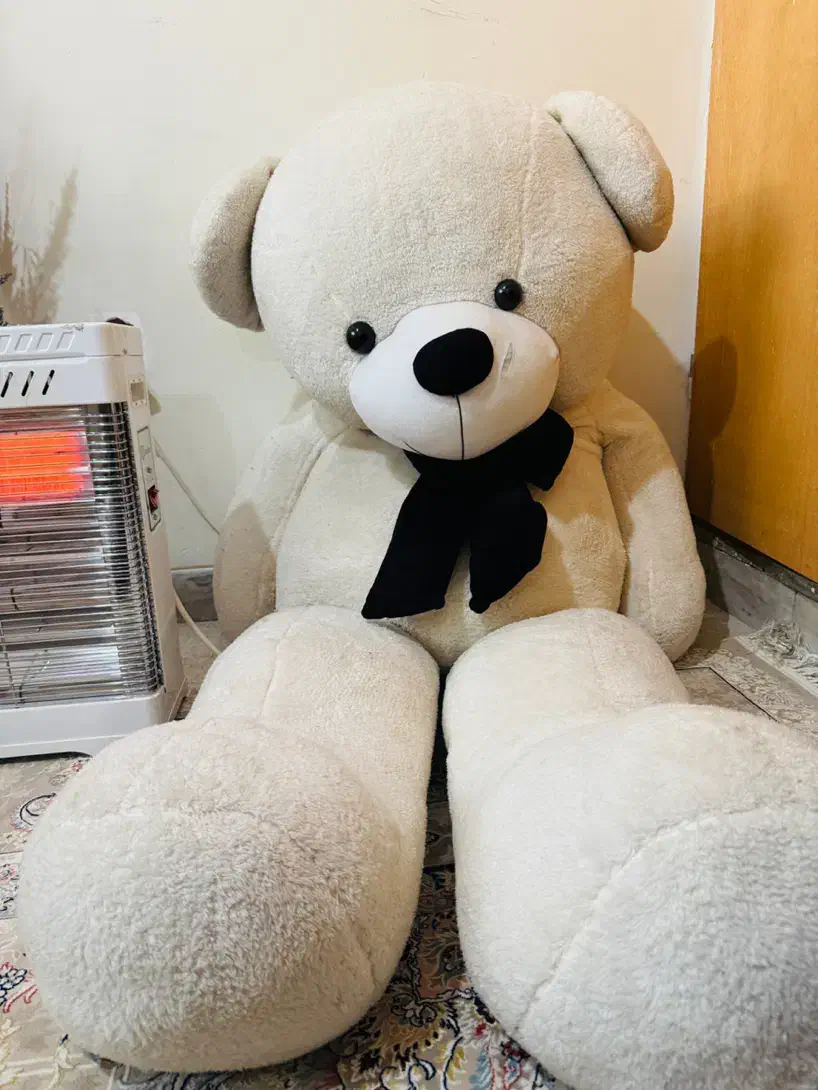 خرس|اسباب‌‌بازی|شیراز, پشم شیشه|دیوار