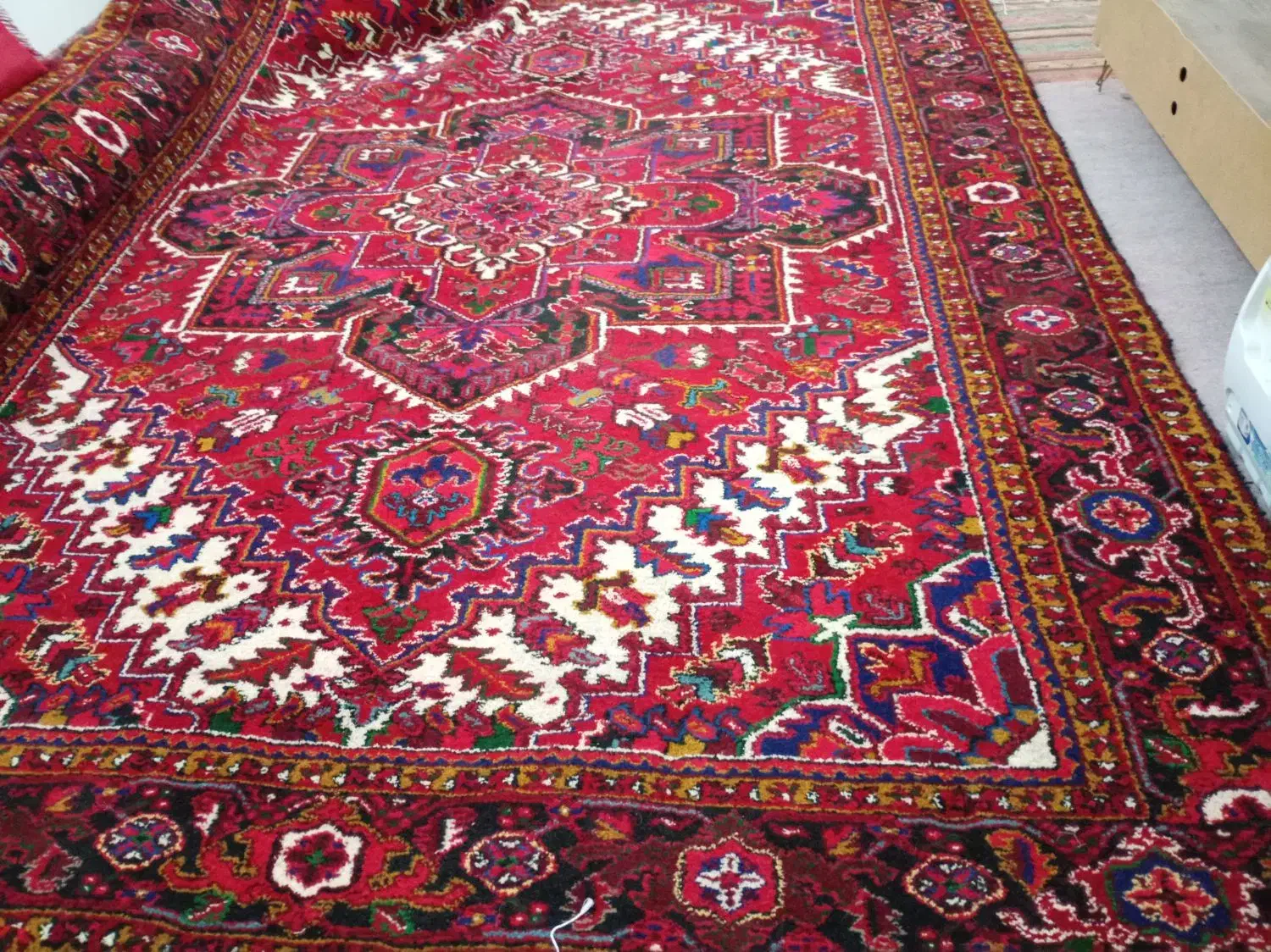 فرش 12 متری جانقور|فرش|خواجه, |دیوار