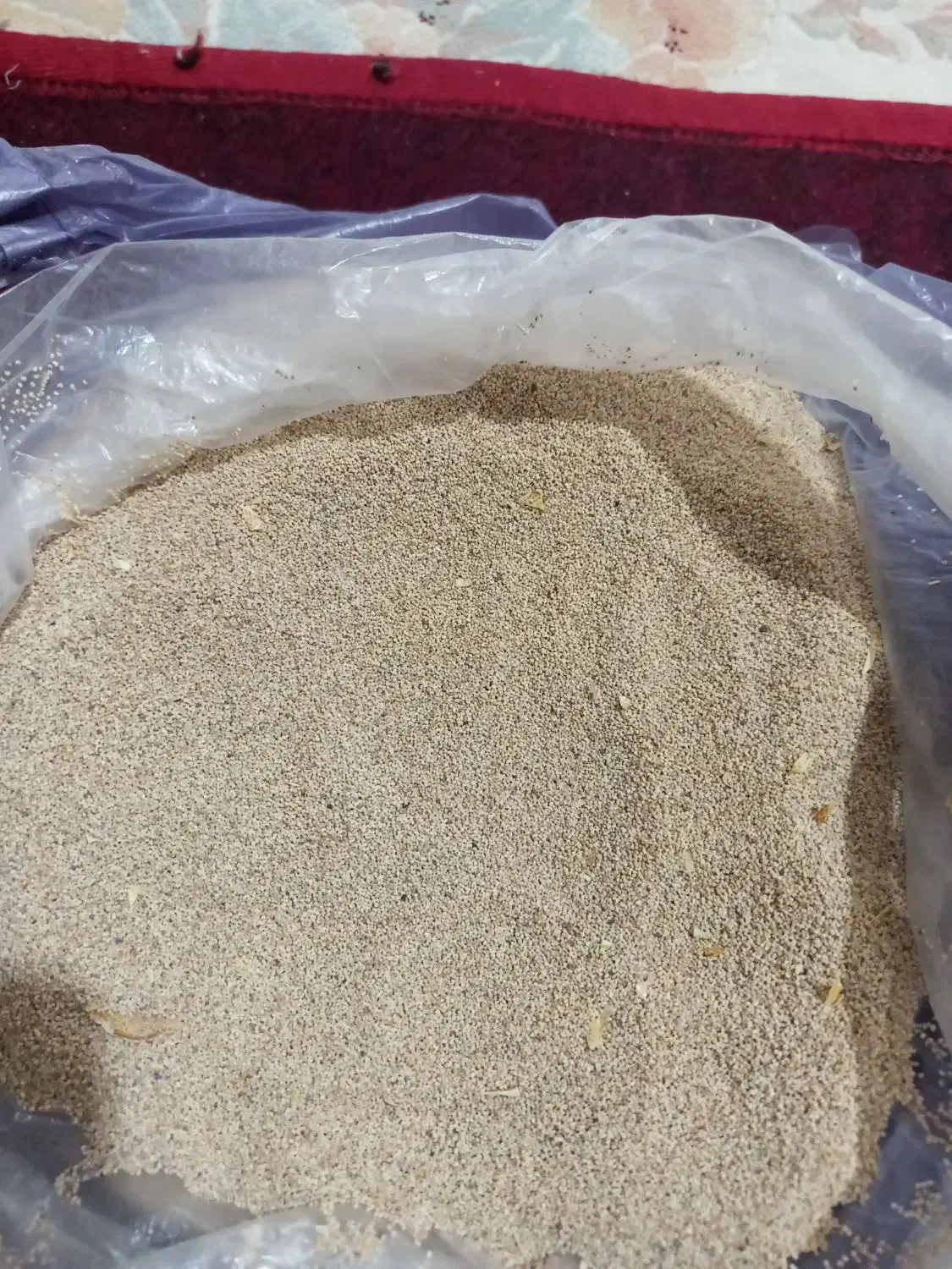 بذر گل|گل و گیاه طبیعی|نورآباد, |دیوار