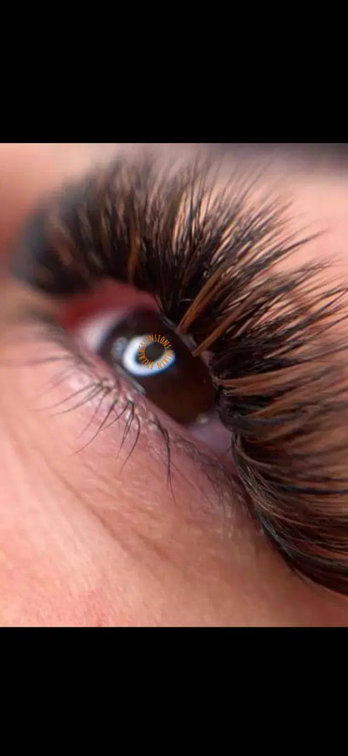 بلک فرایدی آموزش و خدمات اکستنشن مژه ۵۰٪|خدمات آموزشی|تهران, صادقیه|دیوار