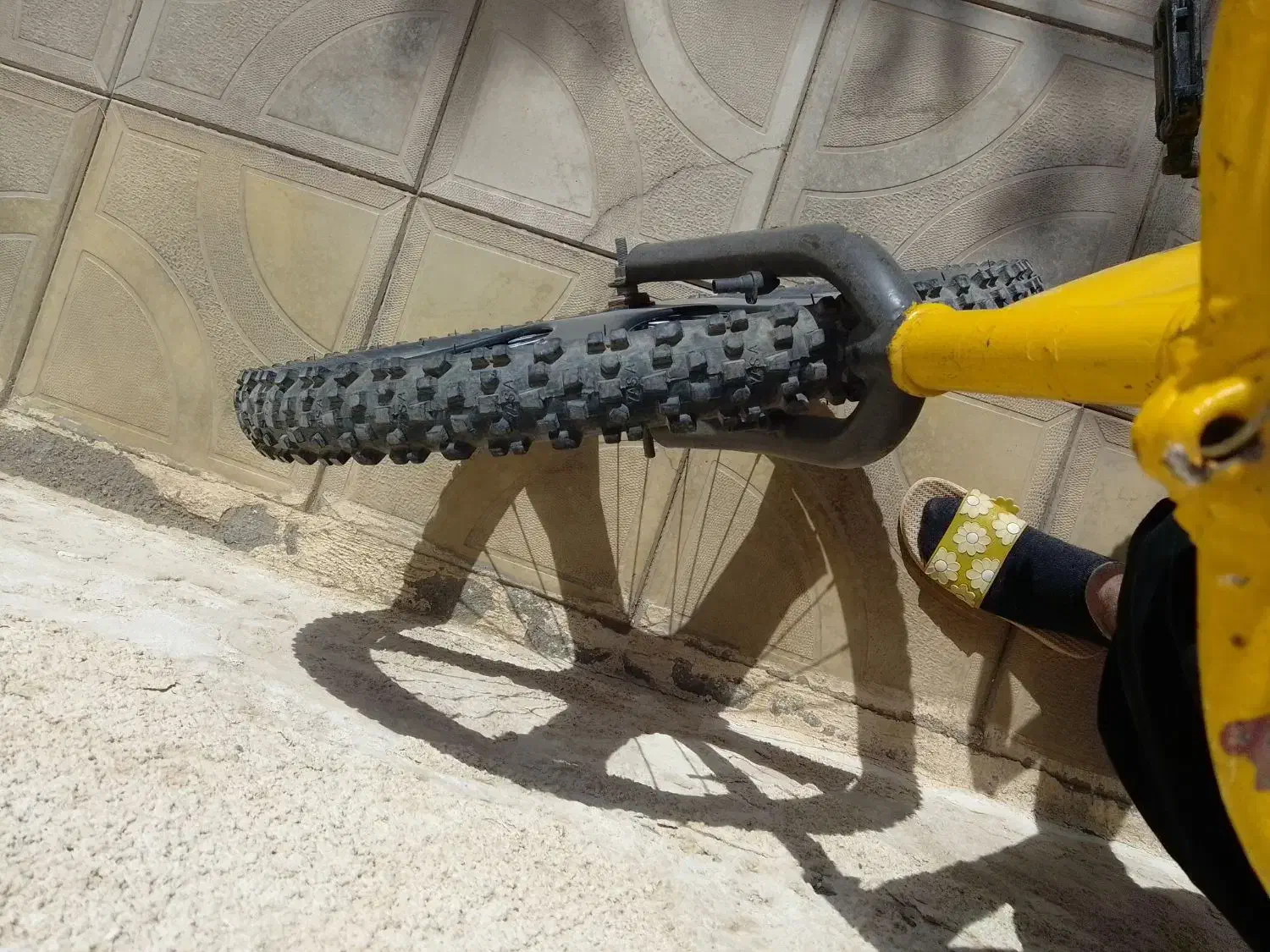 دوچرخه|دوچرخه، اسکیت، اسکوتر|تربت جام, کلالی|دیوار