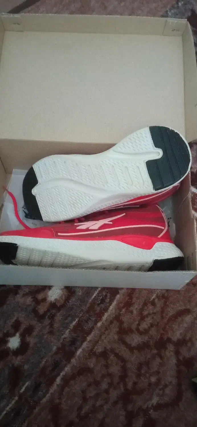 کفش ورزشی سایز ۳۷|کیف، کفش، کمربند|خوی, |دیوار