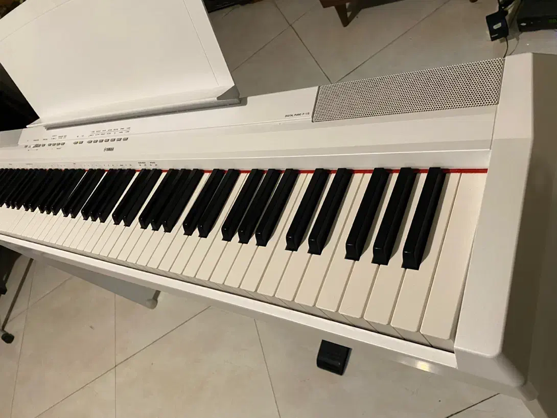پیانو دیجیتال یاماها مشابه آکبند yamaha P-115|پیانو، کیبورد، آکاردئون|تهران, سازمان برنامه جنوبی|دیوار