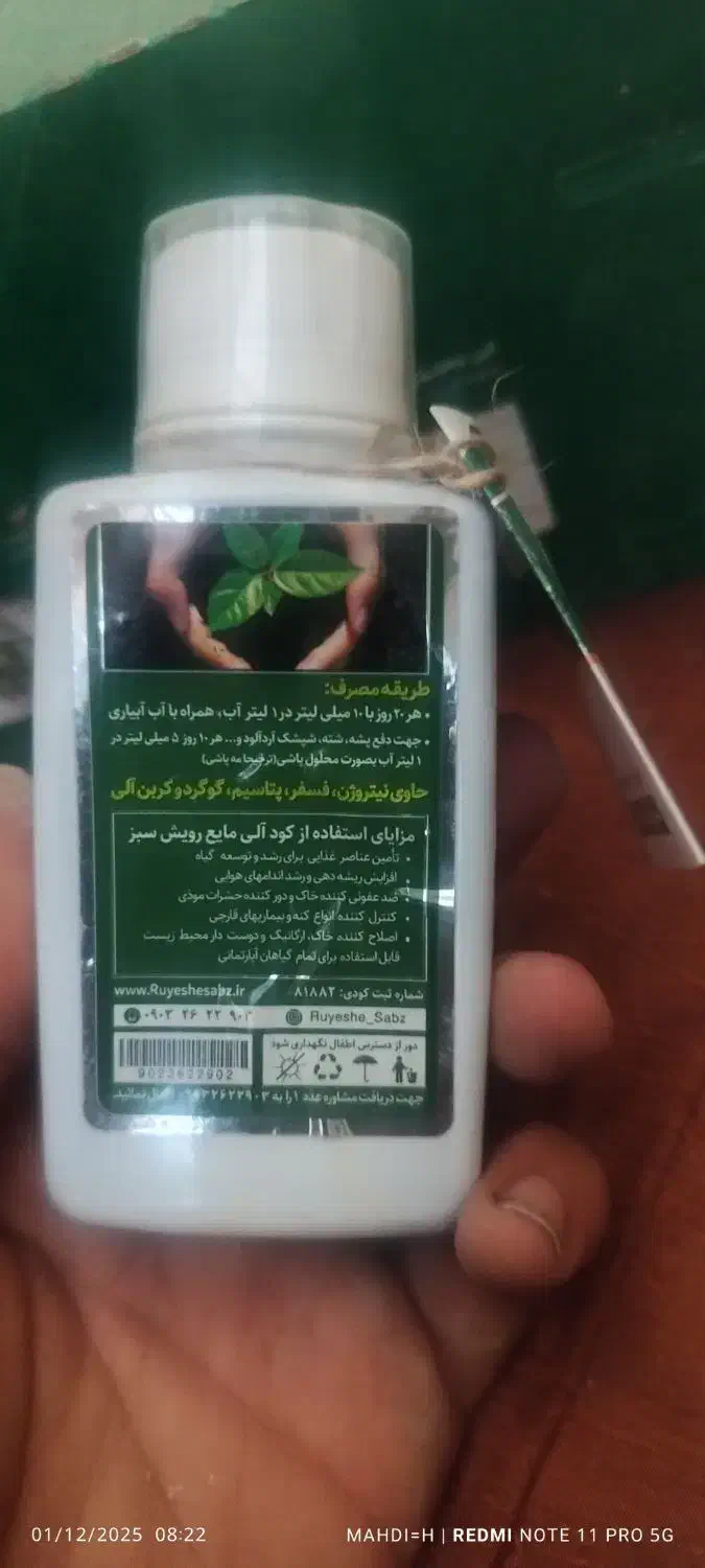 تقویتی گل|گل و گیاه طبیعی|مشهد, انقلاب|دیوار