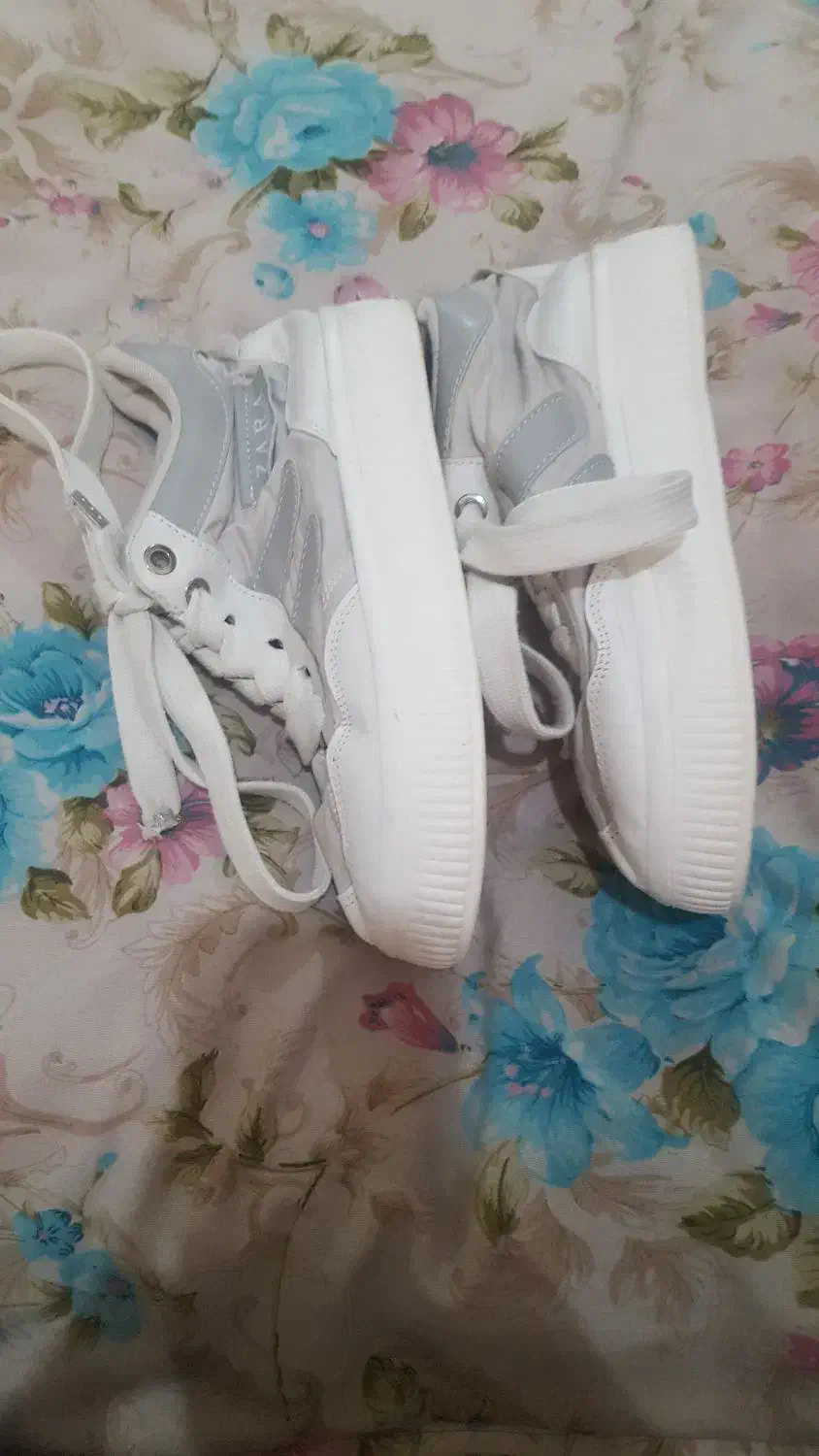 نیم بوت|کیف، کفش، کمربند|اصفهان, پروین|دیوار