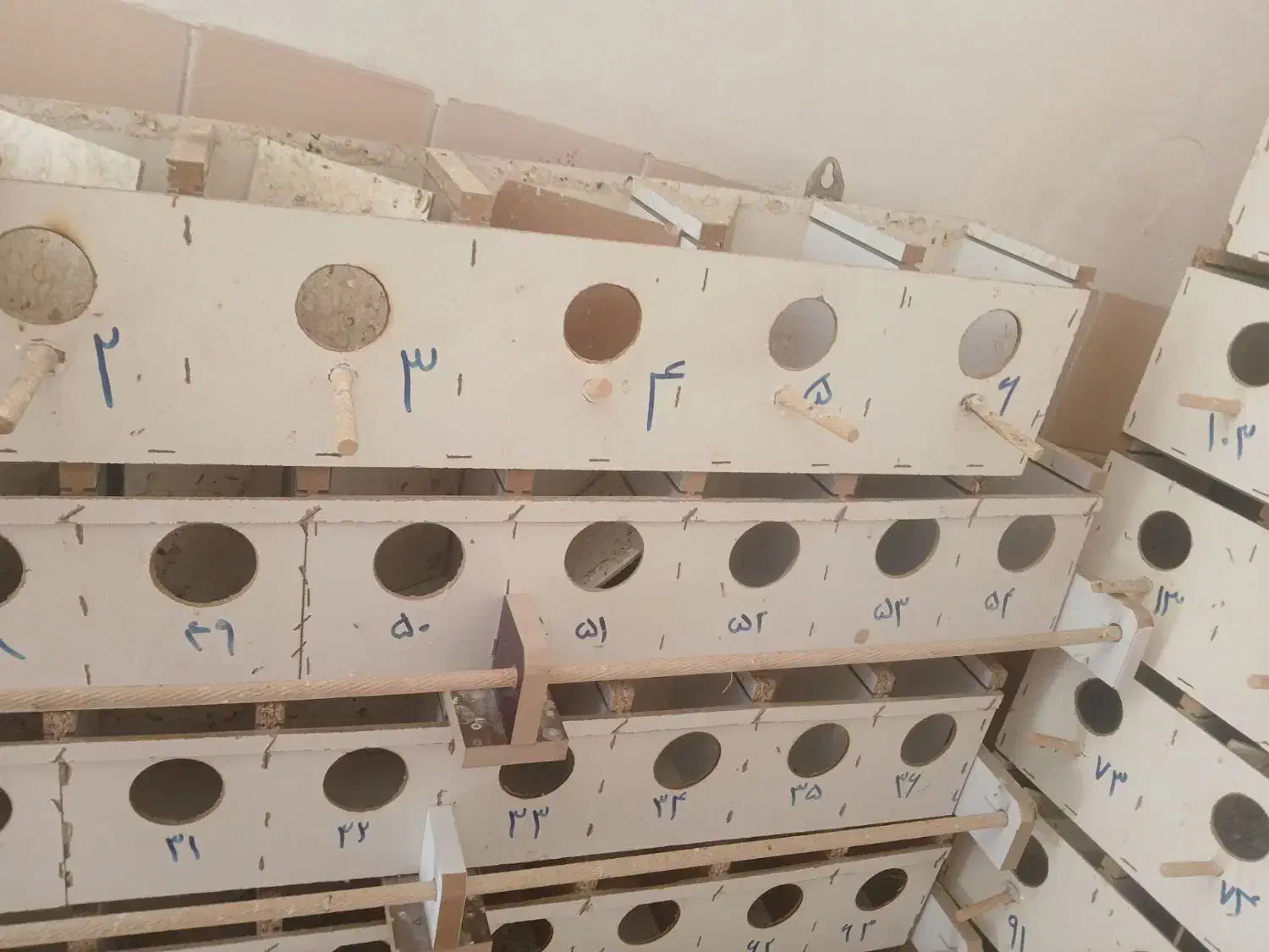 لانه پرنده|لوازم جانبی حیوانات|نیشابور, محله میدان باغات|دیوار