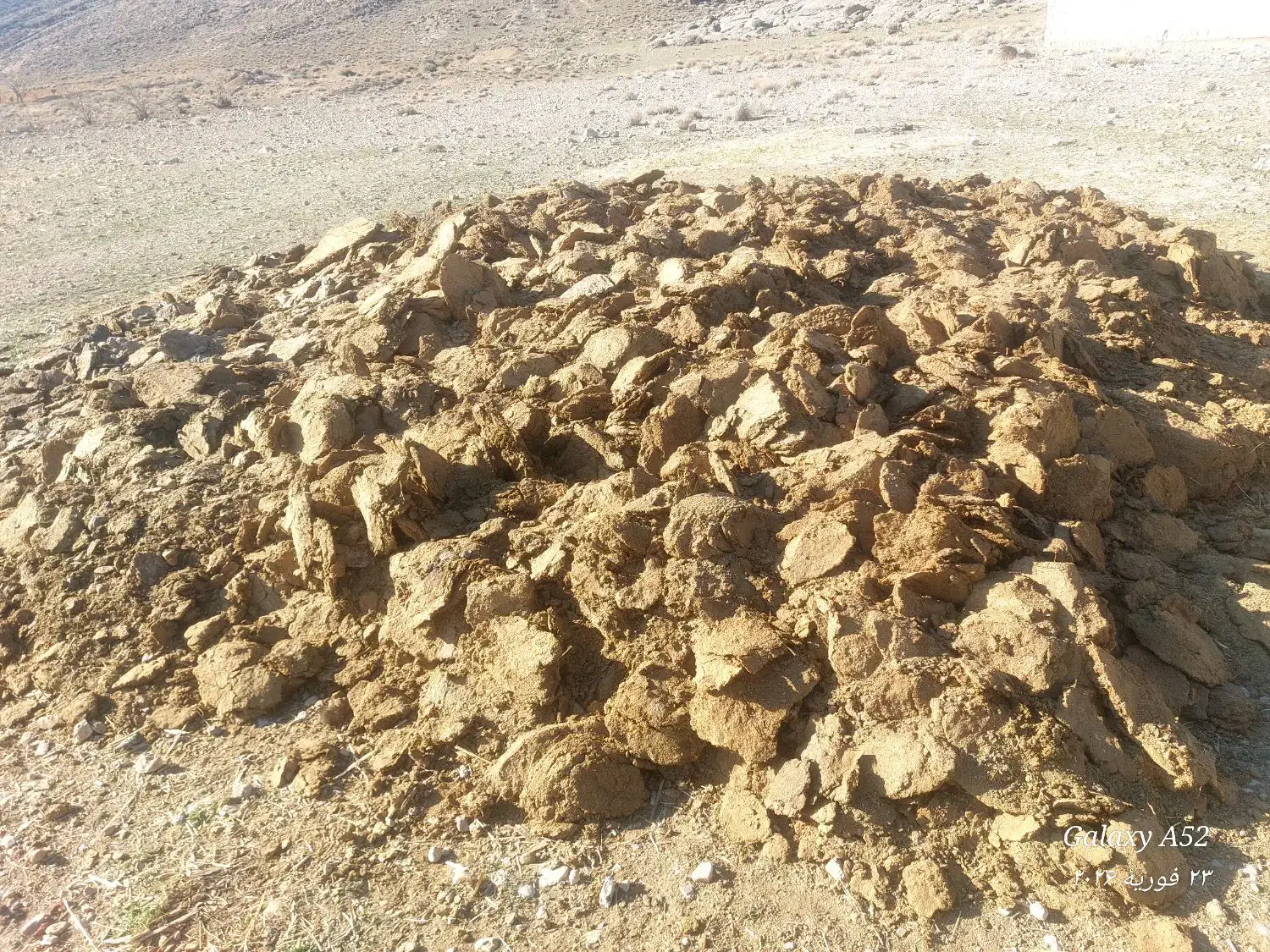 کود گوسفندی|لوازم جانبی حیوانات|پاسارگاد, |دیوار